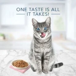 Blue Buffalo Tastefuls Natural Tender Morsels Tuna Entree Wet Cat Food, 3-oz Can, Case Of 12 -Meow Meals 879438 PT3. AC SS1800 V1687358673