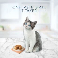 Blue Buffalo Tastefuls Natural Kitten Pate Chicken Entree Wet Cat Food Multi-Pack, 3-oz Can, Case Of 6 -Meow Meals 879486 PT2. AC SS1800 V1694720227