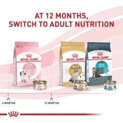 Royal Canin Feline Health Nutrition Kitten Loaf In Sauce Canned Cat Food -Meow Meals 88020 PT1. AC SS1800 V1697754447