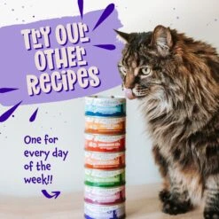 Earthborn Holistic Chicken Fricatssee Grain-Free Natural Adult Canned Cat Food 14 Earthborn Holistic Chicken Fricatssee Grain-Free Natural Adult Canned Cat Food -Meow Meals 88110 PT7. AC SS1800 V1684524211