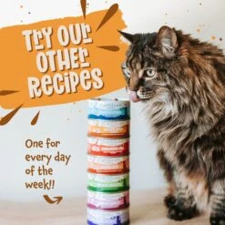 Earthborn Holistic Chicken Jumble With Liver Grain-Free Natural Canned Cat & Kitten Food -Meow Meals 88113 PT7. AC SS1800 V1684524199