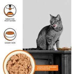Meow Meals -Meow Meals 895278 PT1. AC SS1800 V1689014654