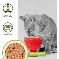 BIXBI Rawbble Chicken Pate Wet Food For Kittens, 2.75-oz Can, Case Of 24 -Meow Meals 895326 PT1. AC SS1800 V1689016796