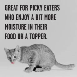 BIXBI Rawbble Chicken Pate Wet Food For Kittens, 2.75-oz Can, Case Of 24 -Meow Meals 895326 PT4. AC SS1800 V1689010876