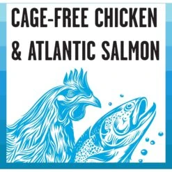 BIXBI Rawbble Chicken & Salmon Shreds In Broth Wet Food For Cats, 2.75-oz Can, Case Of 24 -Meow Meals 895342 PT2. AC SS1800 V1689010999