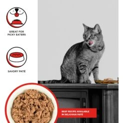 BIXBI Rawbble Beef Pate Wet Food For Cats, 5-oz Can, Case Of 24 -Meow Meals 895422 PT1. AC SS1800 V1689015040