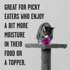 BIXBI Rawbble Beef Pate Wet Food For Cats, 5-oz Can, Case Of 24 -Meow Meals 895422 PT3. AC SS1800 V1689017852