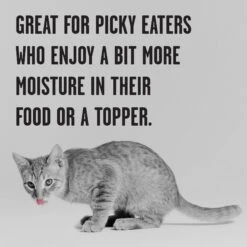 BIXBI Rawbble Chicken Pate Wet Food For Kittens, 5-oz Can, Case Of 24 -Meow Meals 895454 PT4. AC SS1800 V1689017852