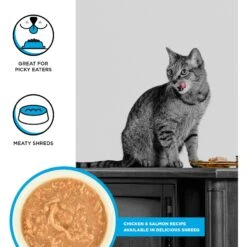 BIXBI Rawbble Chicken & Salmon Shreds In Broth Wet Food For Cats, 5-oz Can, Case Of 24 8 BIXBI Rawbble Chicken & Salmon Shreds In Broth Wet Food For Cats, 5-oz Can, Case Of 24 -Meow Meals 895470 PT1. AC SS1800 V1689014931