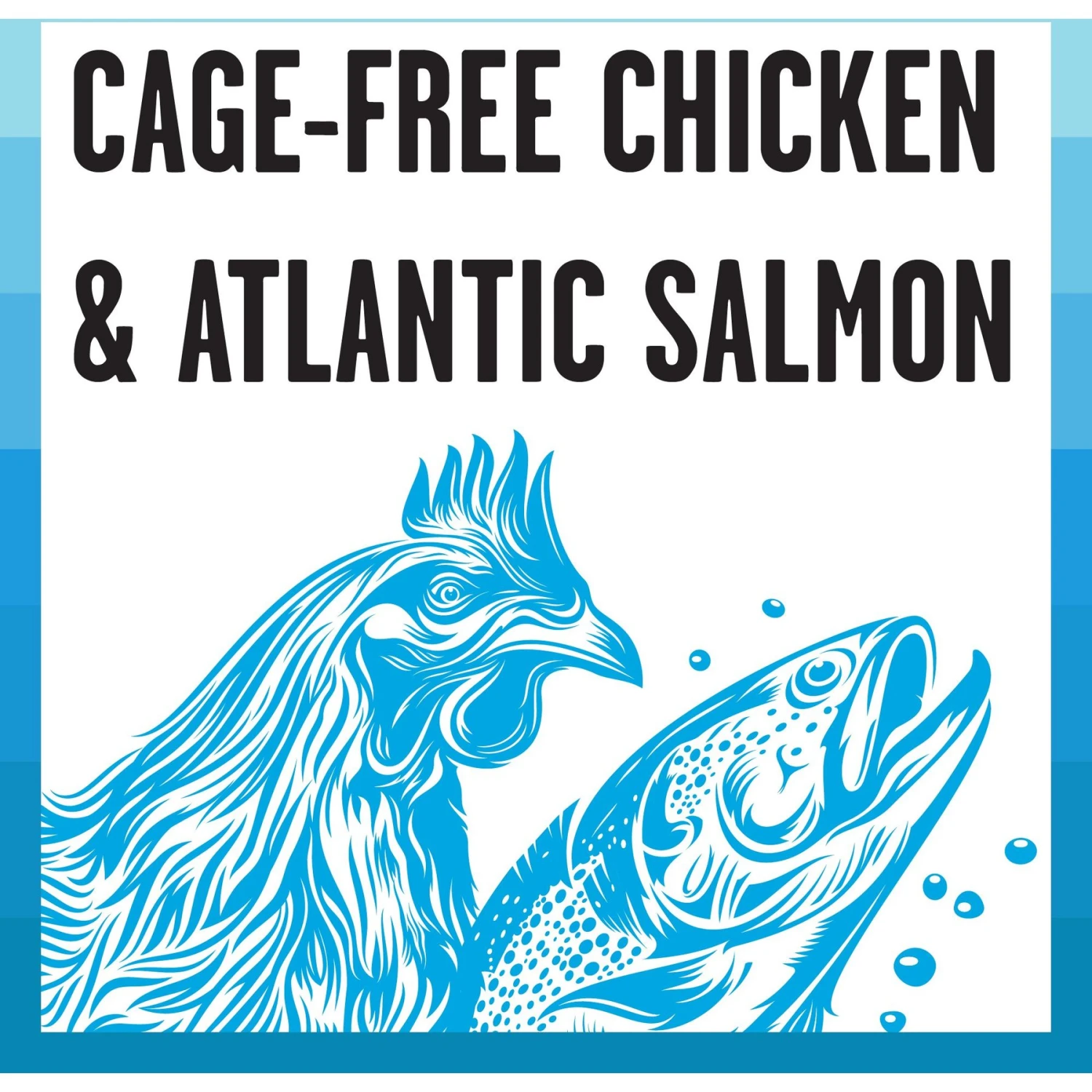 BIXBI Rawbble Chicken & Salmon Shreds In Broth Wet Food For Cats, 5-oz Can, Case Of 24 5 BIXBI Rawbble Chicken & Salmon Shreds In Broth Wet Food For Cats, 5-oz Can, Case Of 24 - Image 3