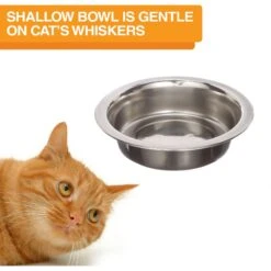 Neater Pets Neater Feeder Deluxe Elevated & Mess-Proof Cat Bowls, Bronze -Meow Meals 89632 PT8. AC SS1800 V1631152287