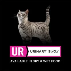 Purina Pro Plan Veterinary Diets UR Urinary St/Ox Savory Selects Salmon In Sauce Wet Cat Food -Meow Meals 89777 PT5. AC SS1800 V1700156713