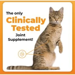 VetriScience GlycoFlex Plus Soft Chews Joint Supplement For Cats -Meow Meals 90408 PT1. AC SS1800 V1649862704