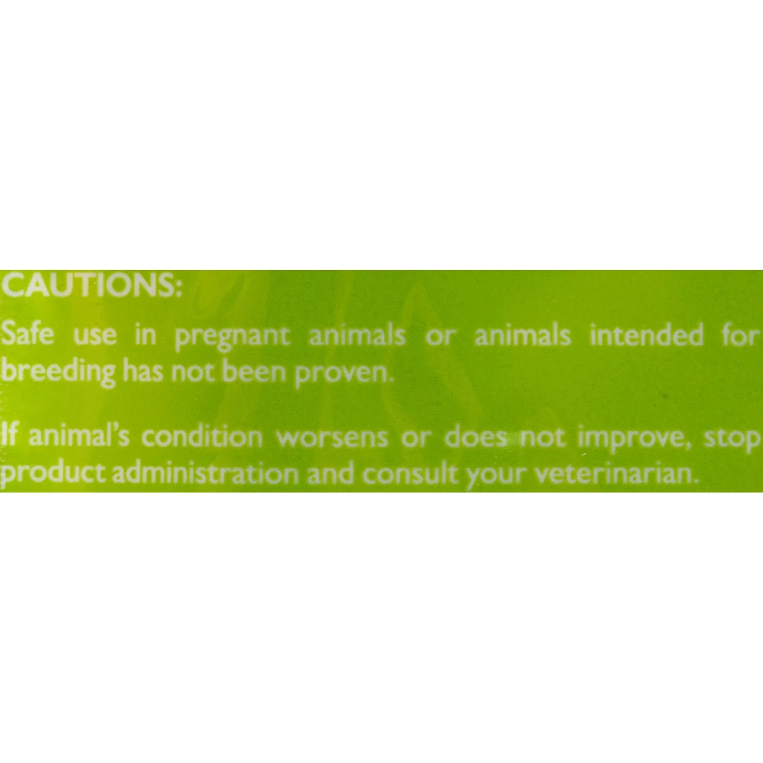 Tomlyn Immune Support Hickory Flavored Soft Chews Immune Supplement For Cats 7 Tomlyn Immune Support Hickory Flavored Soft Chews Immune Supplement For Cats - Image 5