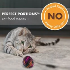 Nutro Perfect Portions Chicken & Liver Recipe Grain-Free Soft Pate Adult Wet Cat Food Trays -Meow Meals 90615 PT2. AC SS1800 V1702678734