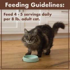 Nutro Perfect Portions Chicken & Liver Recipe Grain-Free Soft Pate Adult Wet Cat Food Trays -Meow Meals 90615 PT7. AC SS1800 V1702678679