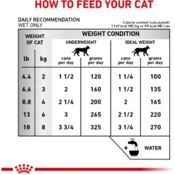 Royal Canin Veterinary Diet Adult Renal Support D Thin Slices In Gravy Canned Cat Food -Meow Meals 90652 PT4. AC SS1800 V1701882438