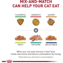 Royal Canin Veterinary Diet Adult Renal Support T Thin Slices In Gravy Canned Cat Food 16 Royal Canin Veterinary Diet Adult Renal Support T Thin Slices In Gravy Canned Cat Food -Meow Meals 90655 PT5. AC SS1800 V1701882440
