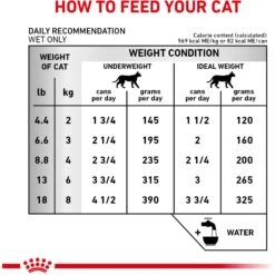 Royal Canin Veterinary Diet Adult Renal Support T Thin Slices In Gravy Canned Cat Food 18 Royal Canin Veterinary Diet Adult Renal Support T Thin Slices In Gravy Canned Cat Food -Meow Meals 90655 PT7. AC SS1800 V1701882382