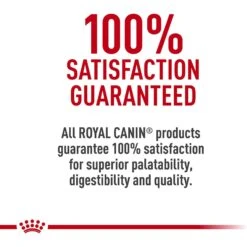 Royal Canin Veterinary Diet Adult Renal Support T Thin Slices In Gravy Canned Cat Food 19 Royal Canin Veterinary Diet Adult Renal Support T Thin Slices In Gravy Canned Cat Food -Meow Meals 90655 PT8. AC SS1800 V1701882441