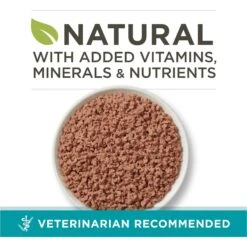 Purina ONE Ocean Whitefish Recipe Pate Grain-Free Natural High Protein Canned Cat Food, 3-oz, Case Of 24 -Meow Meals 91557 PT1. AC SS1800 V1657661111