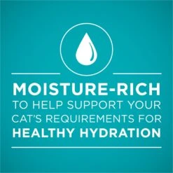 Purina ONE Ocean Whitefish Recipe Pate Grain-Free Natural High Protein Canned Cat Food, 3-oz, Case Of 24 -Meow Meals 91557 PT2. AC SS1800 V1657661111