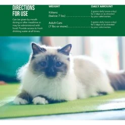 Endurosyn Feline Digestive Oral Gel For Cats 13 Endurosyn Feline Digestive Oral Gel For Cats -Meow Meals 91622 PT5. AC SS1800 V1582665198