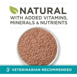 Purina ONE Chicken Recipe Pate Natural Grain-Free Canned Cat Food, 3-oz, Case Of 24 -Meow Meals 91720 PT1. AC SS1800 V1657661113