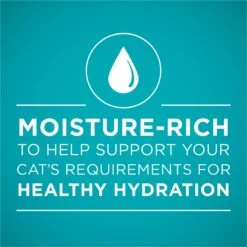 Purina ONE Chicken Recipe Pate Natural Grain-Free Canned Cat Food, 3-oz, Case Of 24 -Meow Meals 91720 PT2. AC SS1800 V1653492982