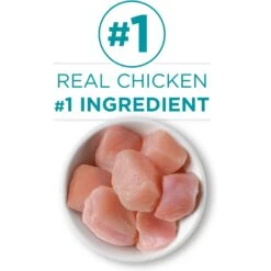 Purina ONE Chicken Recipe Pate Natural Grain-Free Canned Cat Food, 3-oz, Case Of 24 -Meow Meals 91720 PT3. AC SS1800 V1657661113