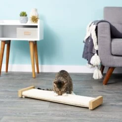 SmartCat The Ultimate 32-in Sisal Cat Scratching Post & SmartCat Bootsie's Combination Scratcher -Meow Meals 933614 PT8. AC SS1800 V1692304039