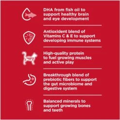 Hill's Science Diet Kitten Healthy Cuisine Tender Chicken & Rice Medley Canned Cat Food -Meow Meals 94018 PT3. AC SS1800 V1693497930