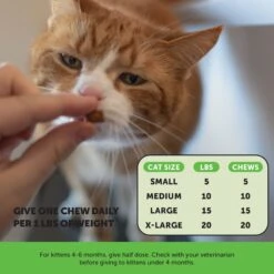 PetHonesty Probiotics Gut + Immune Health Chews Supplement For Cats, 3.7-oz Bag -Meow Meals 941374 PT5. AC SS1800 V1693589483