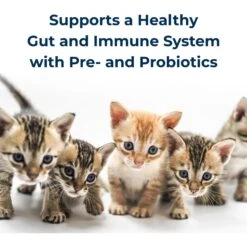 PetAg KMR Powder Milk Supplement For Kittens & PetAg KMR Liquid Milk Supplement For Kittens -Meow Meals 947822 PT4. AC SS1800 V1693344548