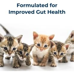 PetAg KMR Powder Milk Supplement For Kittens & PetAg KMR Liquid Milk Supplement For Kittens -Meow Meals 947822 PT8. AC SS1800 V1693344547