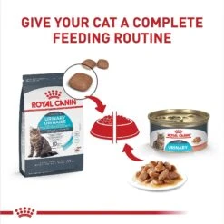 Royal Canin Feline Care Nutrition Urinary Care Thin Slices In Gravy Wet Cat Food, 3-oz Can, Case Of 12 -Meow Meals 950350 PT5. AC SS1800 V1694791252