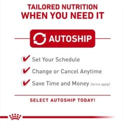 Royal Canin Feline Health Nutrition Adult Indoor & Instinctive Variety Pack Wet Cat Food, 3-oz Can, Case Of 12 -Meow Meals 950366 PT4. AC SS1800 V1693497983