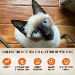 Wellness CORE Grain-Free Hearty Cuts In Gravy Shredded Chicken & Turkey Recipe Canned Cat Food -Meow Meals 95710 PT2. AC SS1800 V1666652112