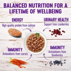 Wellness Healthy Indulgence Morsels With Salmon & Tuna In Savory Sauce Grain-Free Wet Cat Food Pouches, 3-oz, Case Of 24 -Meow Meals 95724 PT3. AC SS1800 V1621990112