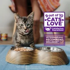 Wellness Healthy Indulgence Shreds With Chicken & Turkey In Light Sauce Grain-Free Wet Cat Food Pouches 12 Wellness Healthy Indulgence Shreds With Chicken & Turkey In Light Sauce Grain-Free Wet Cat Food Pouches -Meow Meals 95731 PT2. AC SS1800 V1695828648