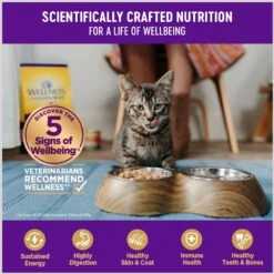 Wellness Healthy Indulgence Shreds With Chicken & Turkey In Light Sauce Grain-Free Wet Cat Food Pouches 13 Wellness Healthy Indulgence Shreds With Chicken & Turkey In Light Sauce Grain-Free Wet Cat Food Pouches -Meow Meals 95731 PT3. AC SS1800 V1695837176