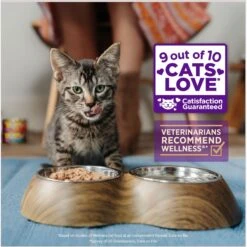Wellness Healthy Indulgence Shreds With Skipjack Tuna & Shrimp In Light Sauce Grain-Free Wet Cat Food Pouches -Meow Meals 95733 PT2. AC SS1800 V1695837175