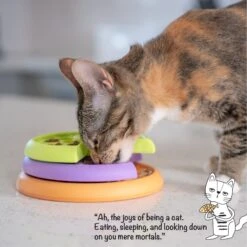 Catstages Kitty Lickin' Layers Multilayered Fun Puzzle Cat Feeder -Meow Meals 959526 PT5. AC SS1800 V1695650785