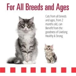 Livelong Healthy & Strong Yummy Meats Wet Cat Food, 5.5-oz Can, 24 Count -Meow Meals 964158 PT3. AC SS1800 V1697117630