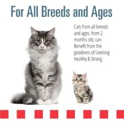 Livelong Healthy & Strong Yummy Seafood Wet Cat Food, 5.5-oz Can, 24 Count -Meow Meals 964174 PT3. AC SS1800 V1697117690