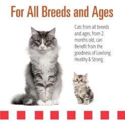 Livelong Healthy & Strong Yummy Turducken Wet Cat Food, 5.5-oz Can, 24 Count -Meow Meals 964190 PT3. AC SS1800 V1697117316