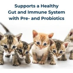 PetAg KMR Powder Milk Supplement For Kittens -Meow Meals 97826 PT4. AC SS1800 V1669394316