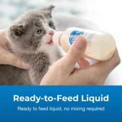 PetAg KMR Liquid Milk Supplement For Kittens -Meow Meals 97831 PT3. AC SS1800 V1669396892