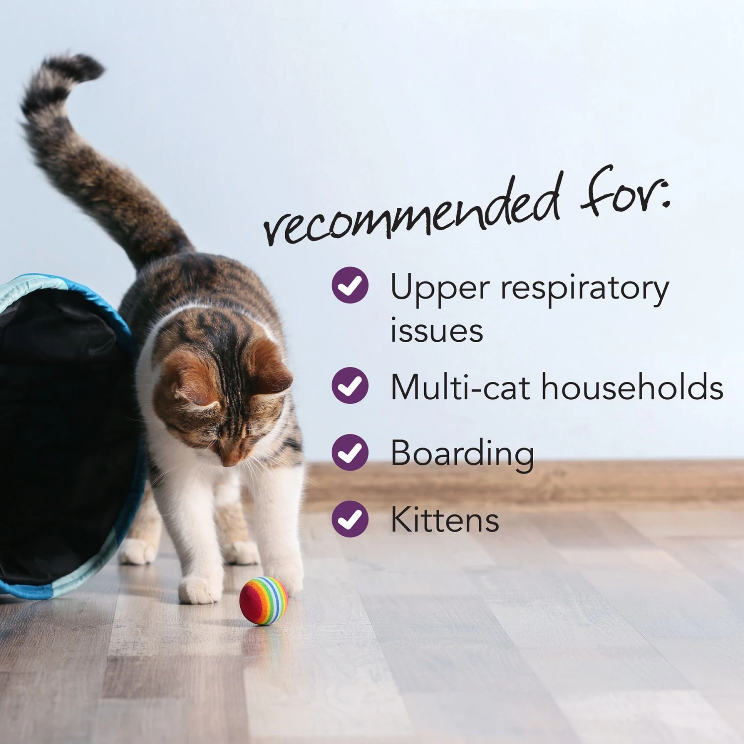 VetriScience Vetri-Lysine Plus Chicken Liver Flavored Soft Chews Immune Supplement For Cats 6 VetriScience Vetri-Lysine Plus Chicken Liver Flavored Soft Chews Immune Supplement For Cats - Image 4