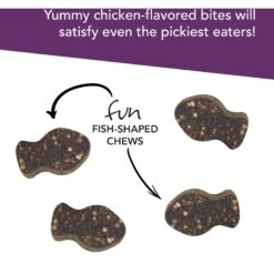 VetriScience Vetri-Lysine Plus Chicken Liver Flavored Soft Chews Immune Supplement For Cats 12 VetriScience Vetri-Lysine Plus Chicken Liver Flavored Soft Chews Immune Supplement For Cats -Meow Meals 98132 PT4. AC SS1800 V1659634945